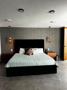 Departamento Meraki !!