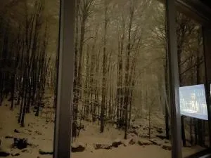 Black Fox - 乌罗舍瓦茨