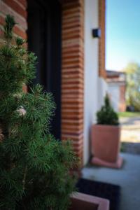 Maisons de vacances Gite de caractere a Beaupuy : photos des chambres