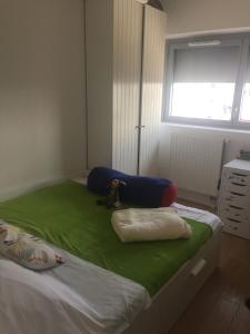 Appartements Superb 100m with Rooftop Terrace Near Paris : photos des chambres