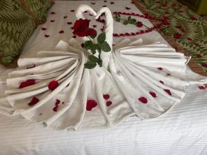 Hotel San Carlos Tequisquiapan