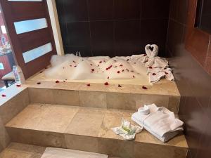 Hotel San Carlos Tequisquiapan