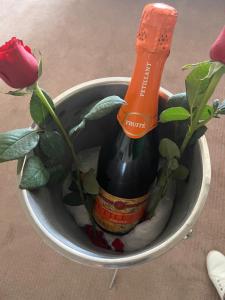 Hotel San Carlos Tequisquiapan