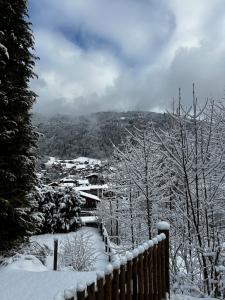 Studio magnifique avec chambre et vue magique
