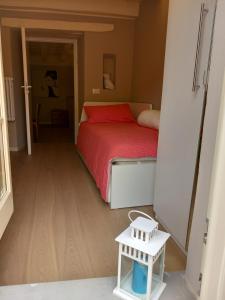 Roman Walls Lucca center