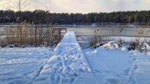 Glamping Druskininkai