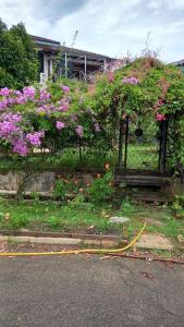 Bentong Hill Cottage