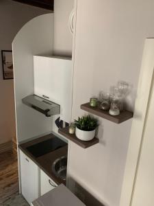 San Gallo Florence studio