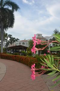 El Tigre, Green Bay I Shared Pool