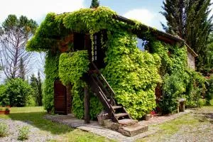 La Stellina Casa Vacanze - Relax immersi nella natura - Badia a Ruoti