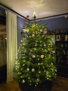 Årjäng Villa nära naturen