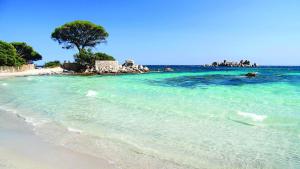 Appartements Appart bord de mer avec piscine : photos des chambres