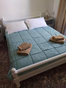 Vaggelis Traditional House