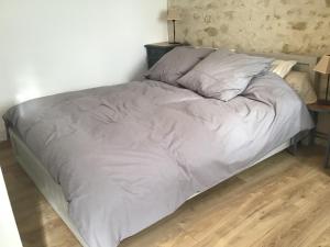 House near Chateaux de la Loire