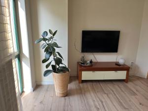 zentrumsnahe Ferienwohnung im Grünen