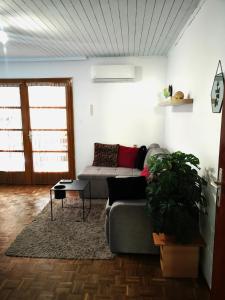Apartman Jasna Banjole I