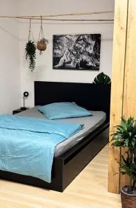 Zentrumnah inklusive Parkplatz Jungle-Suite by Rentigo - Ruheoase im Herzen von Saarbrücken! - Krämershäuschen