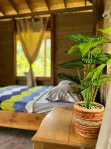 Cabañas Amanvari - La Ceja