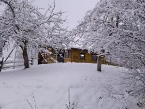 Vipche house - Krivopolʼye