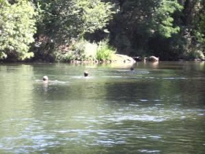 Maisons de vacances Bastide provencale du XVIIIeme en bordure du fleuve Argens sur terrain de 2 ha : photos des chambres
