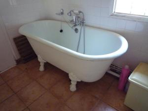 Maisons de vacances Bastide provencale du XVIIIeme en bordure du fleuve Argens sur terrain de 2 ha : photos des chambres