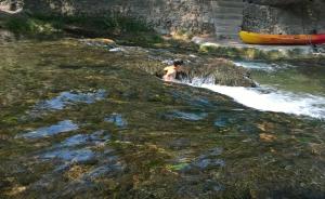 Maisons de vacances Bastide provencale du XVIIIeme en bordure du fleuve Argens sur terrain de 2 ha : photos des chambres