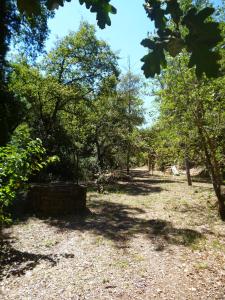 Maisons de vacances Bastide provencale du XVIIIeme en bordure du fleuve Argens sur terrain de 2 ha : photos des chambres