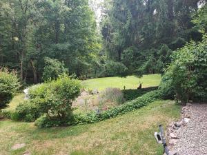Chalets Chalet insolite en Foret : photos des chambres