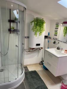 Sejours a la campagne Gite des 2 arbres de la sagesse , agreable chalet avec spa privatif : photos des chambres