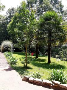 Chalets Chalet Alice : photos des chambres