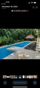 Welcome to Casa Del Arbol!