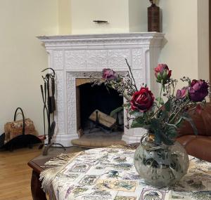 Vingis Park Apartments with 2 Bedrooms & Free Parking