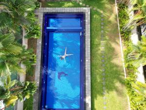 Bentota River Villa
