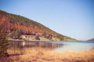 Joli studio zen et cozy au coeur de Saint Claude