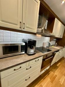 Vingis Park Apartments with 2 Bedrooms & Free Parking