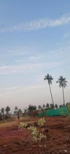 Hampi Nest