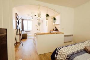 07 grand studio on the Place des Vosges