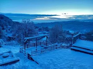 La SELVA - Romano Canavese