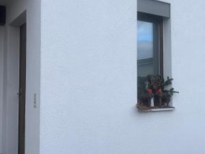 Studio 5 Minuten von Murten