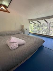 Cabaña Huillin, Experiencia única del Bosque