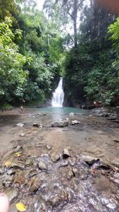 Private room in nature