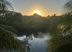 In the Tropics by the Sea