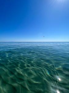 Maisons de vacances Residence LO MONACO Haut de villa, Appartements et Studios : photos des chambres