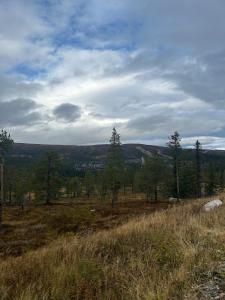 Cabin at Norefjell with a stunning view