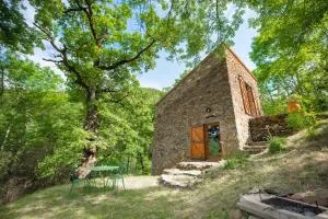 Luxury mountain cottage with pool access - La Bergerie - Corsavy