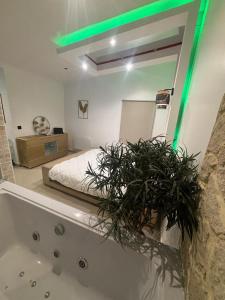 Appartements Jacuzzi House - 1-Bed & Parking - Villemomble, Paris : photos des chambres