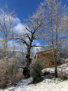 Maisons de vacances Luxury mountain cottage with pool access - La Bergerie : photos des chambres