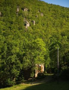 Maisons de vacances Luxury mountain cottage with pool access - La Bergerie : photos des chambres