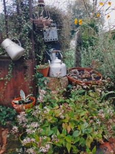 Maisons de vacances Gite Jardin Du Chay : photos des chambres