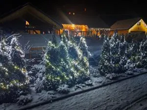 Drewniany Domek Daria i Tomek 2 domki na 8 osób - Bielice